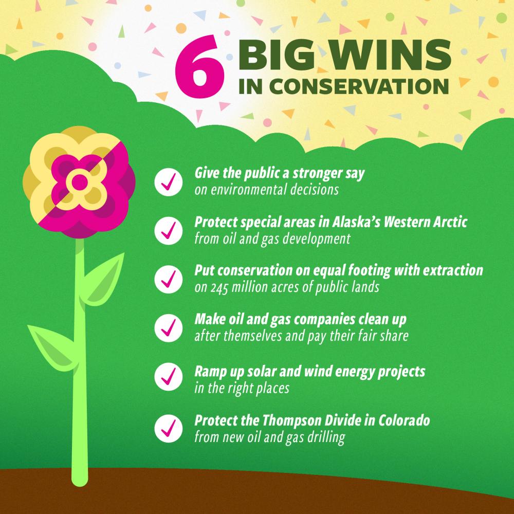 graphic with 6 conservation wins