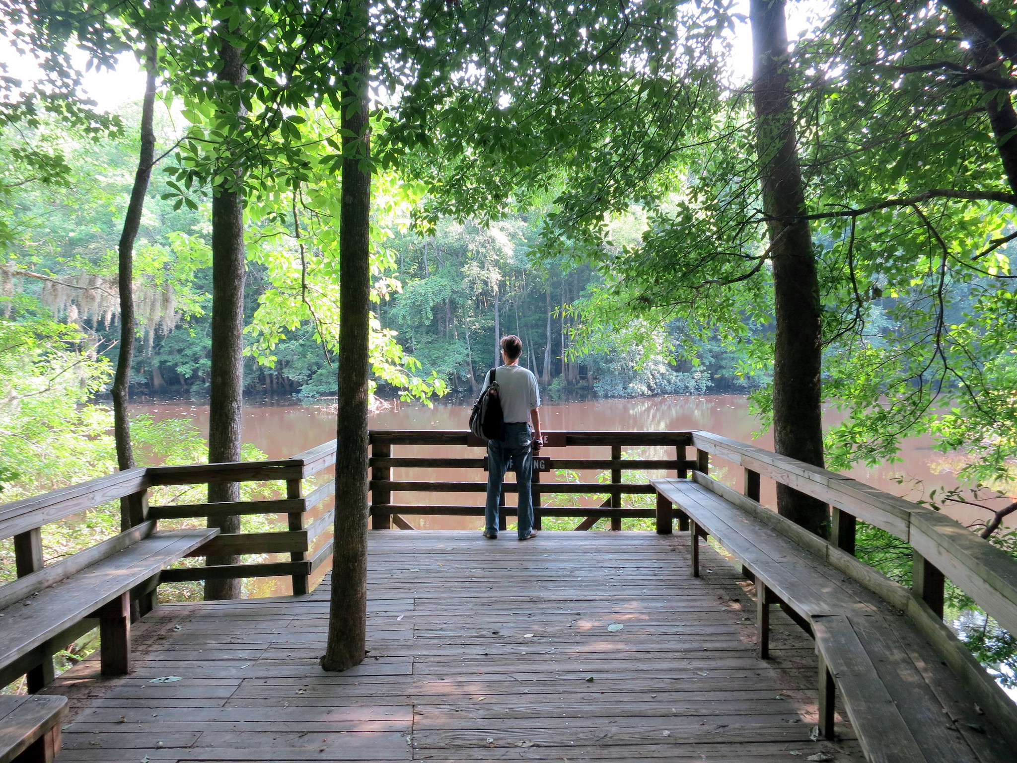 person walking throigh forested area