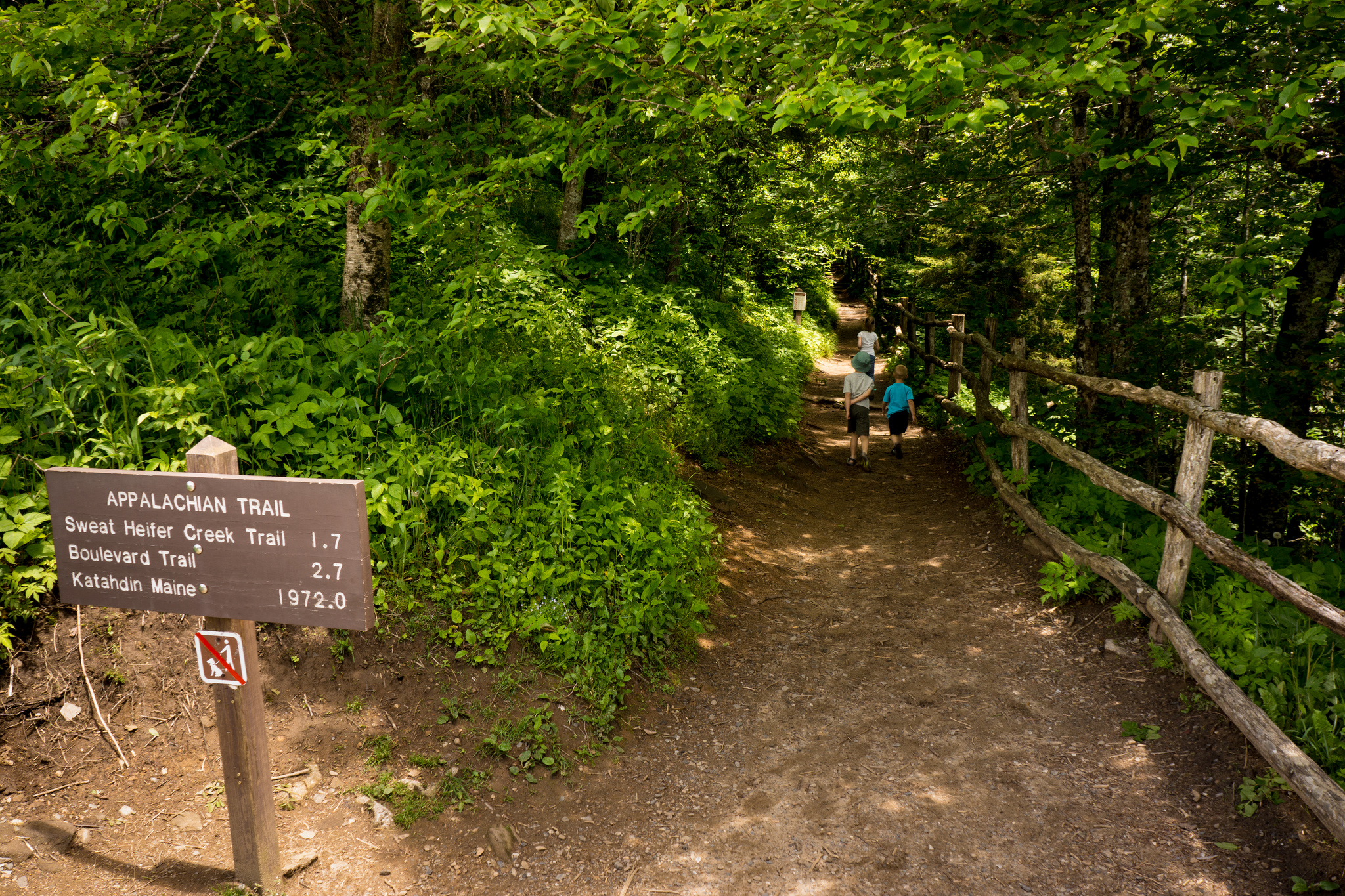 Great Smokey Mountains National Park, TN