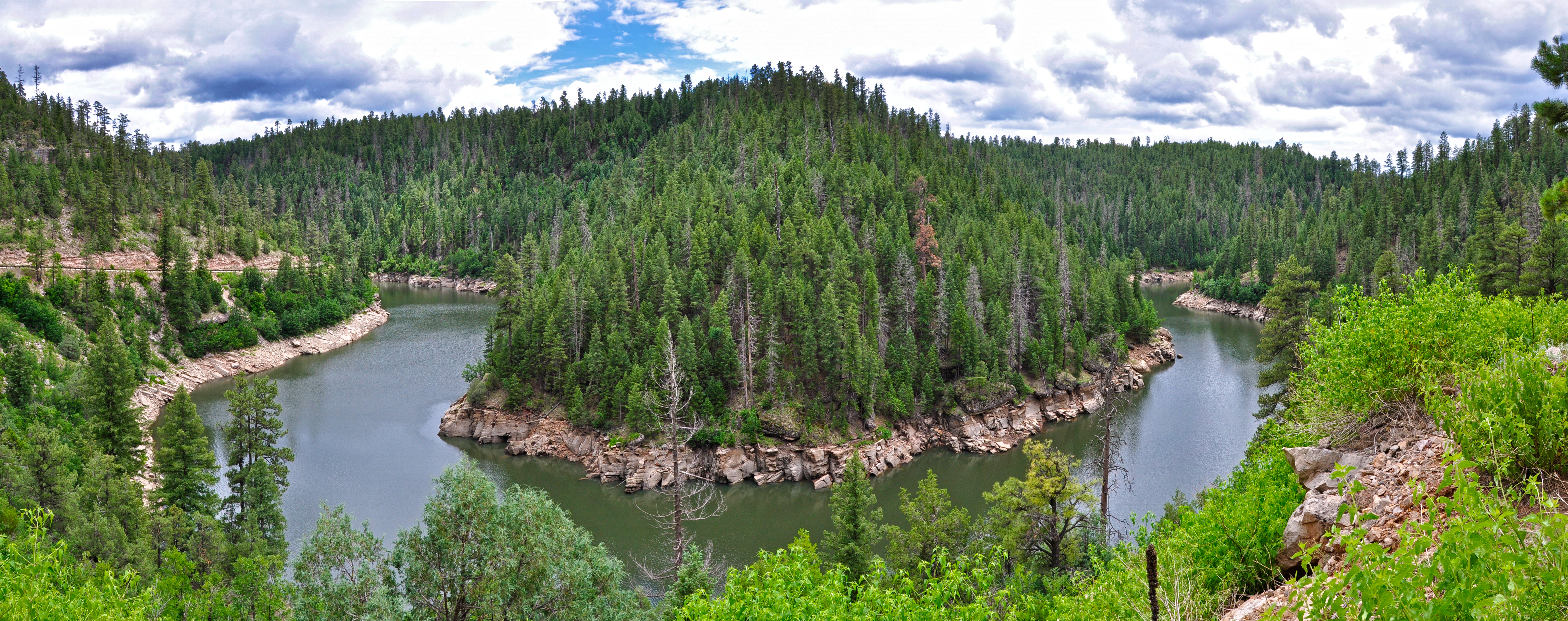 Coconino National Forest