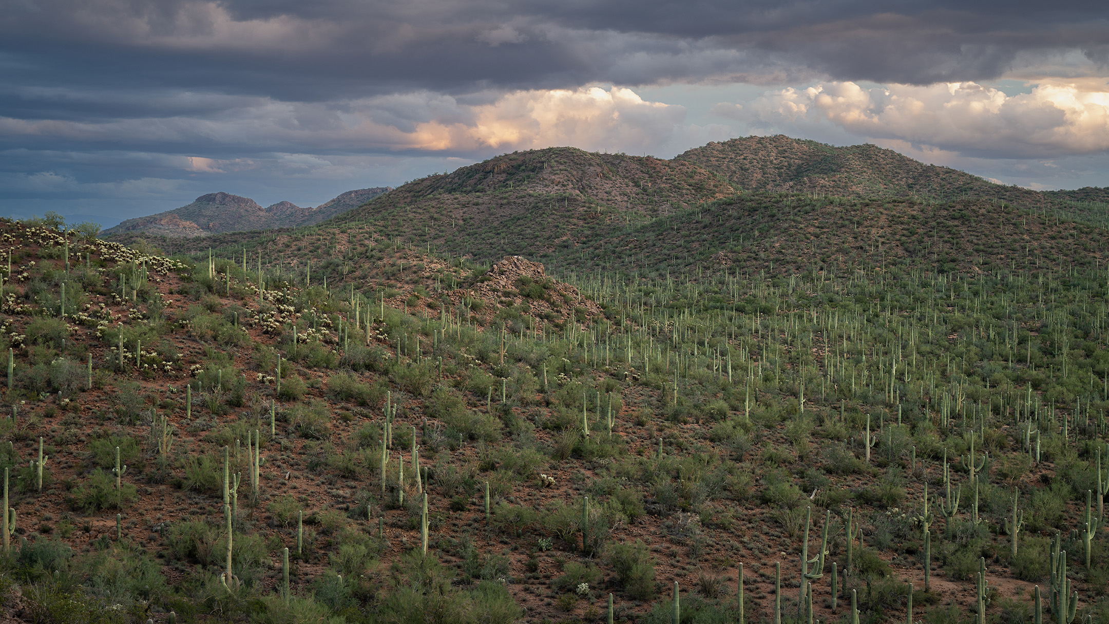 Ironwood Forest National Monument, Arizona 