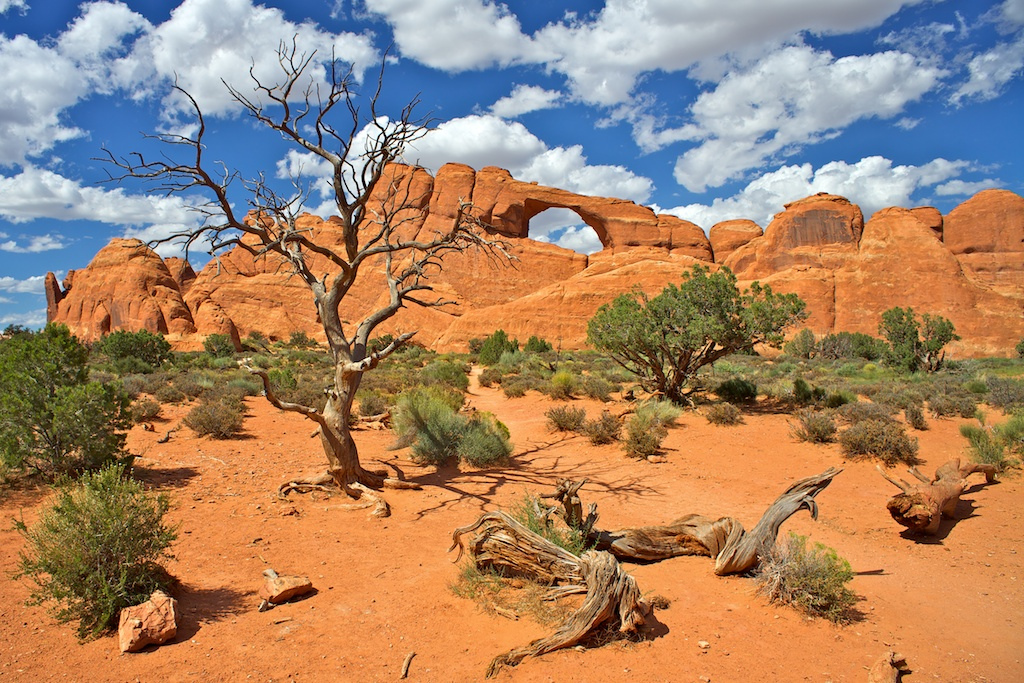 Arches National Park, UT