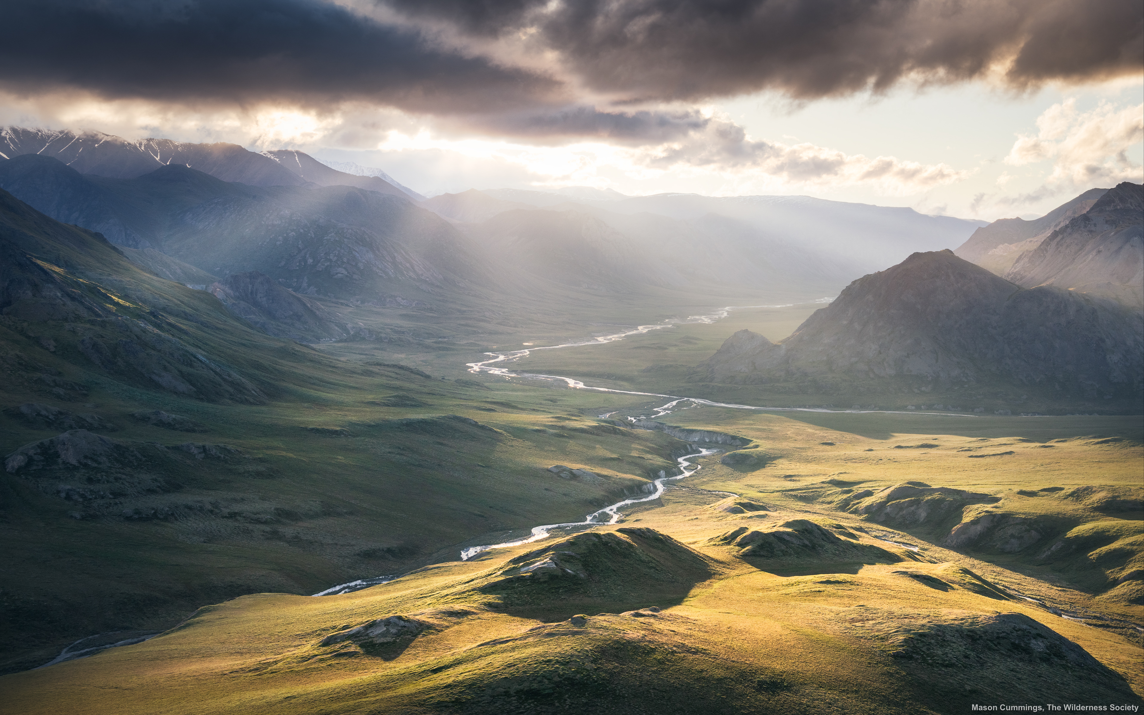 Arctic desktop background