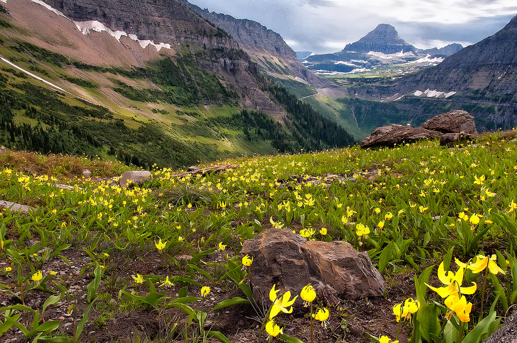 Glacier National Park, MT