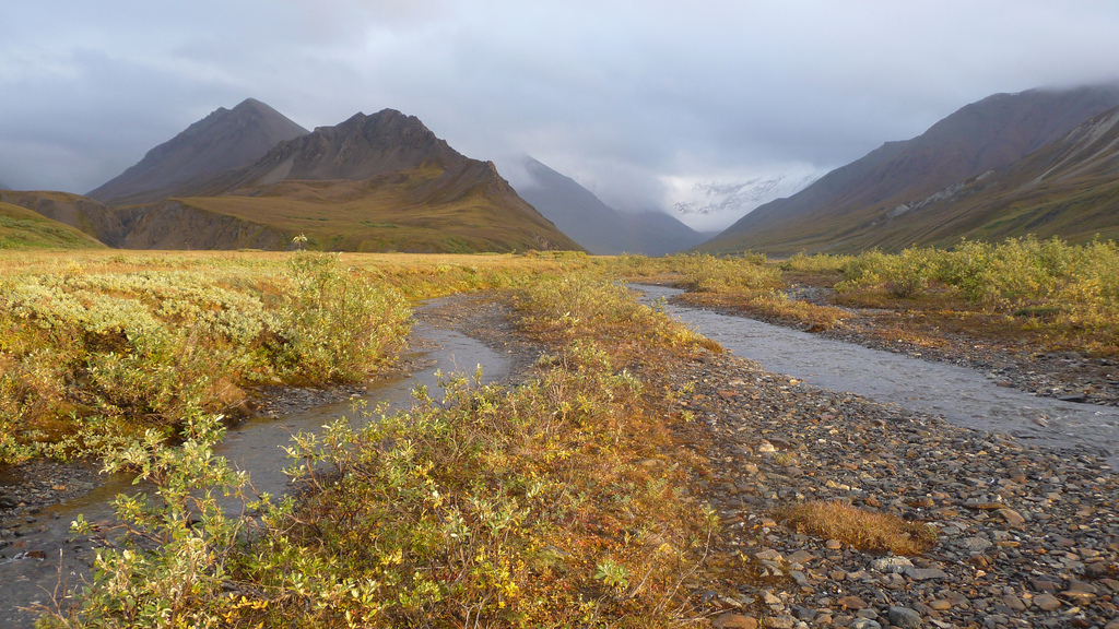 Denali National Park, AK