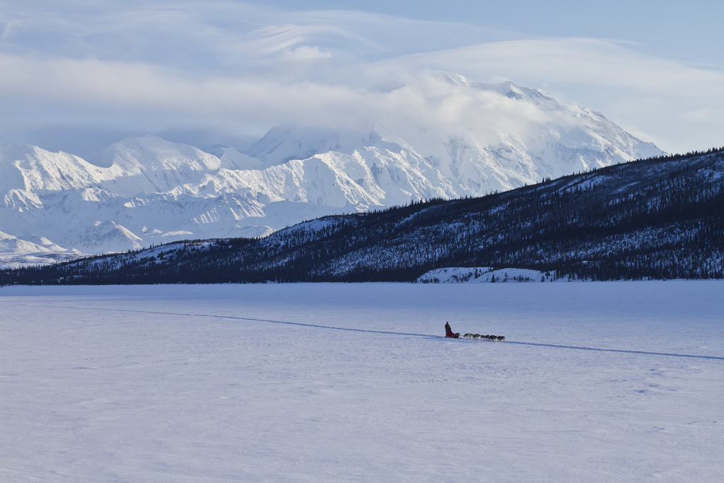 Denali National Park, AK