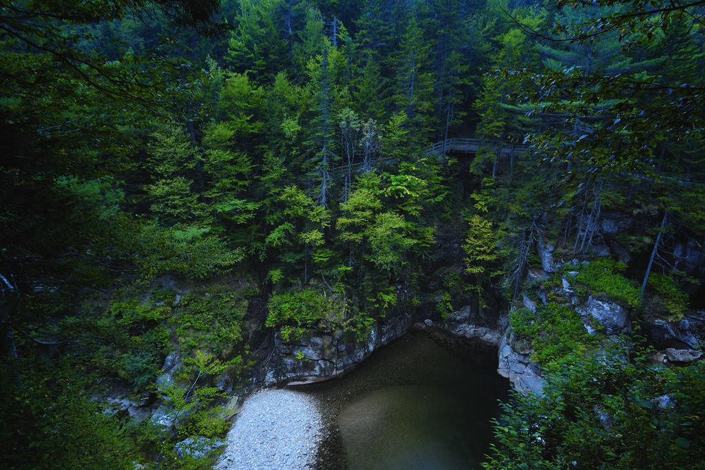 Pemigewasset Wilderness