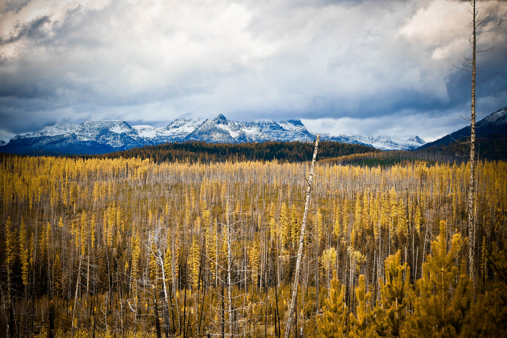 Glacier National Park, MT