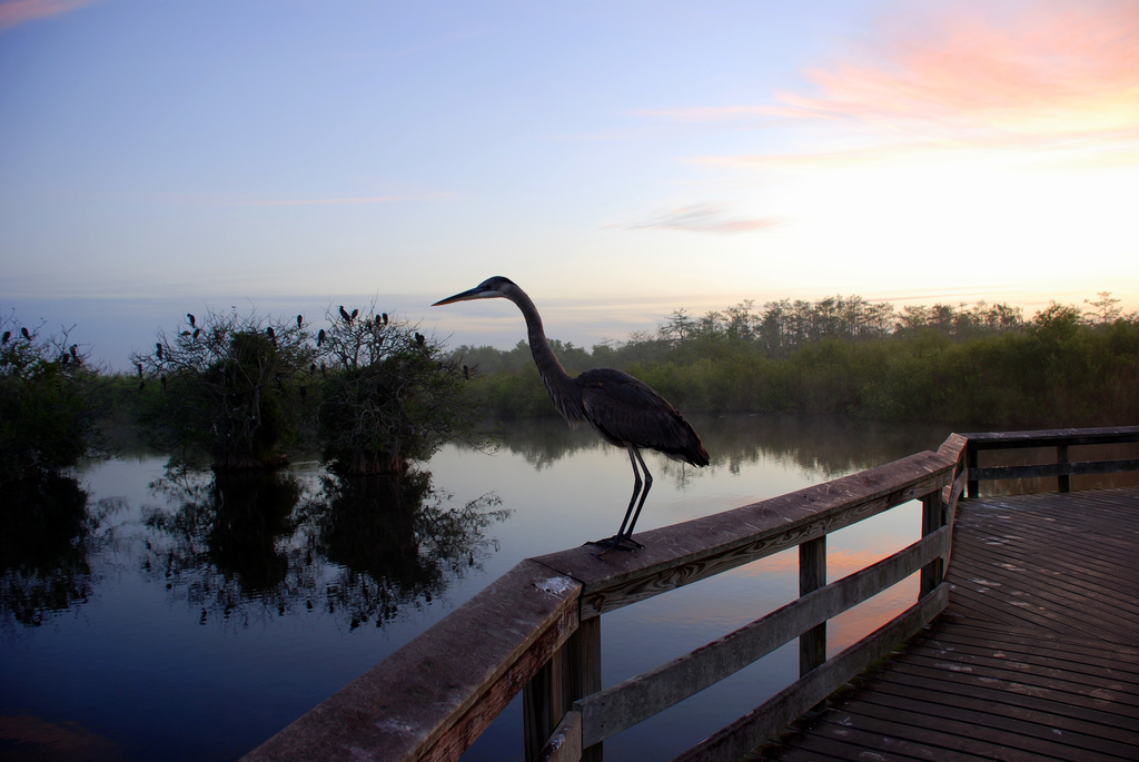 Everglades National Park, FL