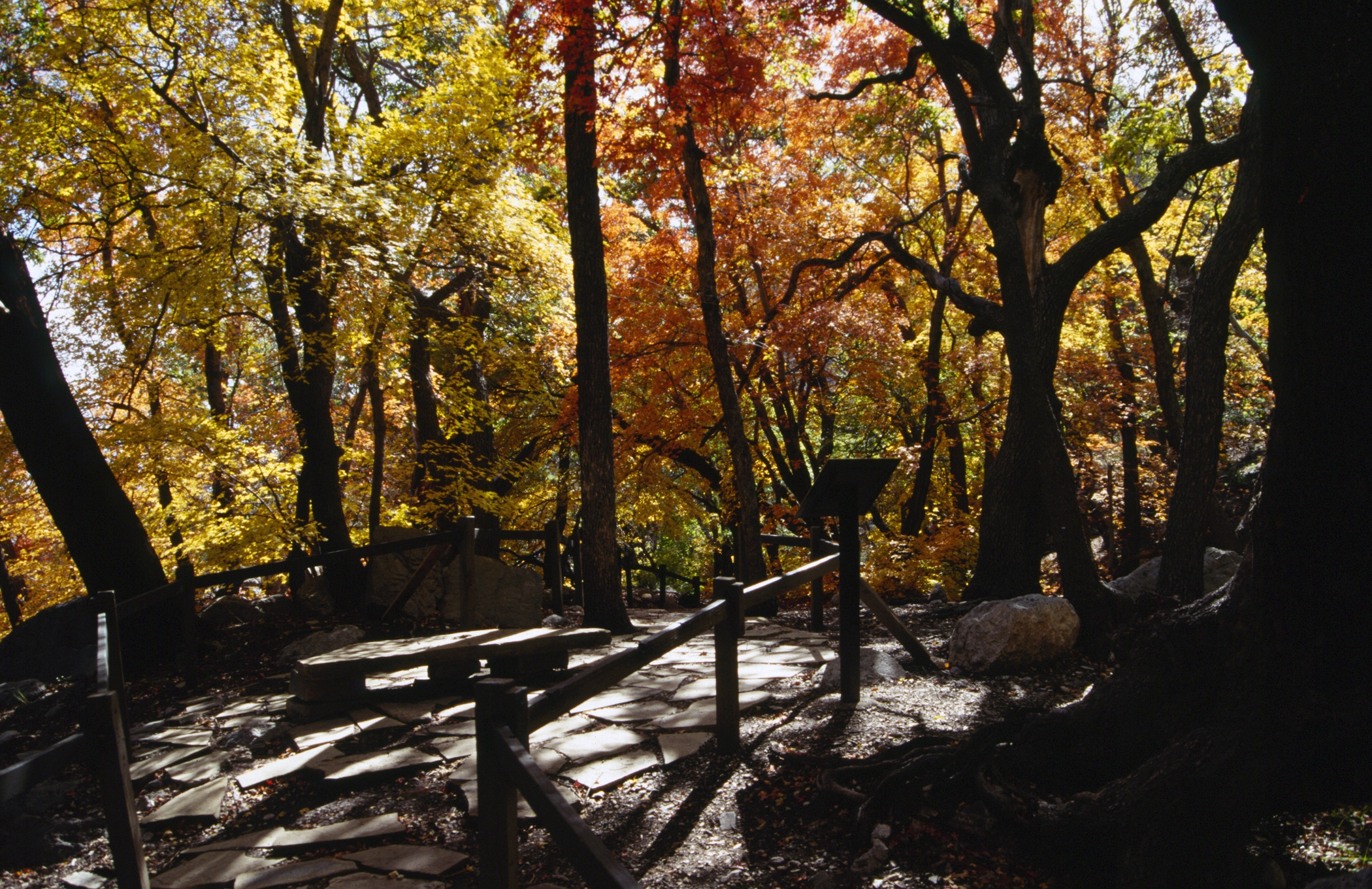 Guadalupe Mountains National Park, TX