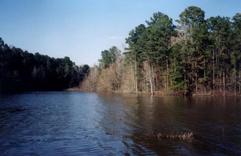 Indian Mounds