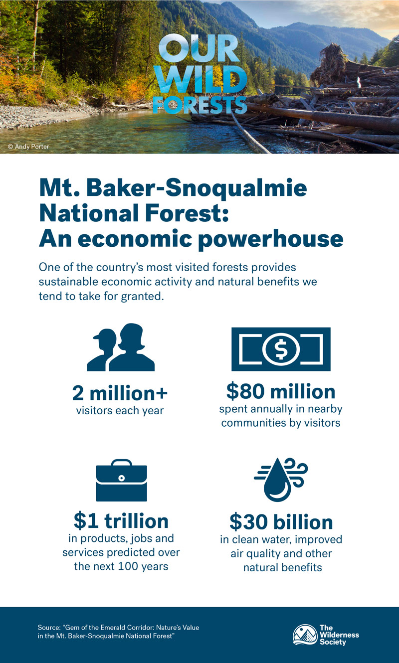Infographic on Mt. Baker-Snoqualmie