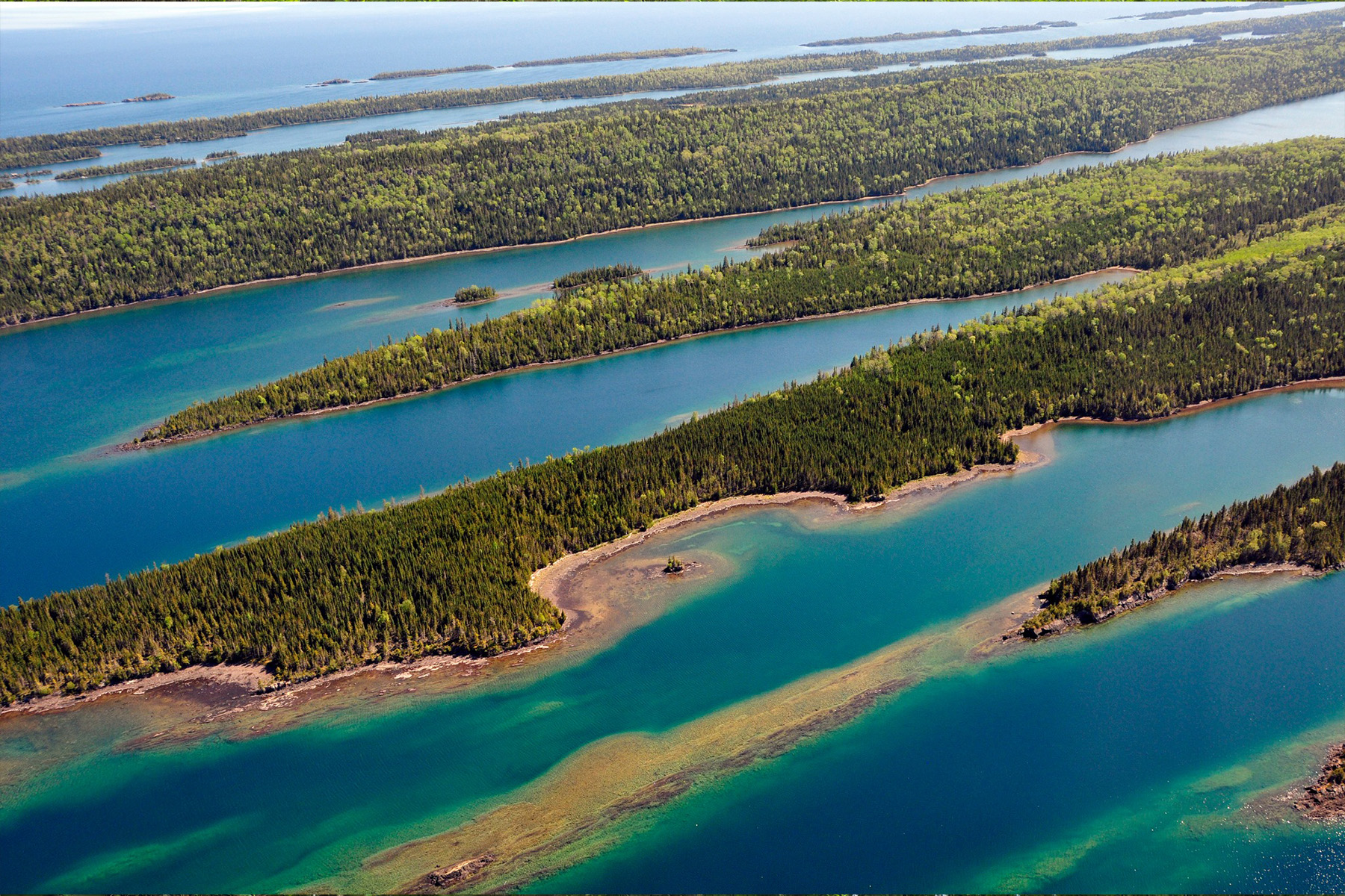 aerial view of archipielagos with tall trees