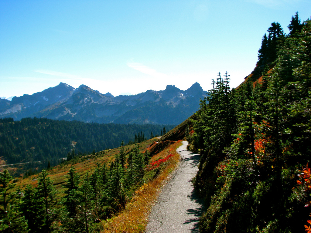 Mount Rainier National Park, WA