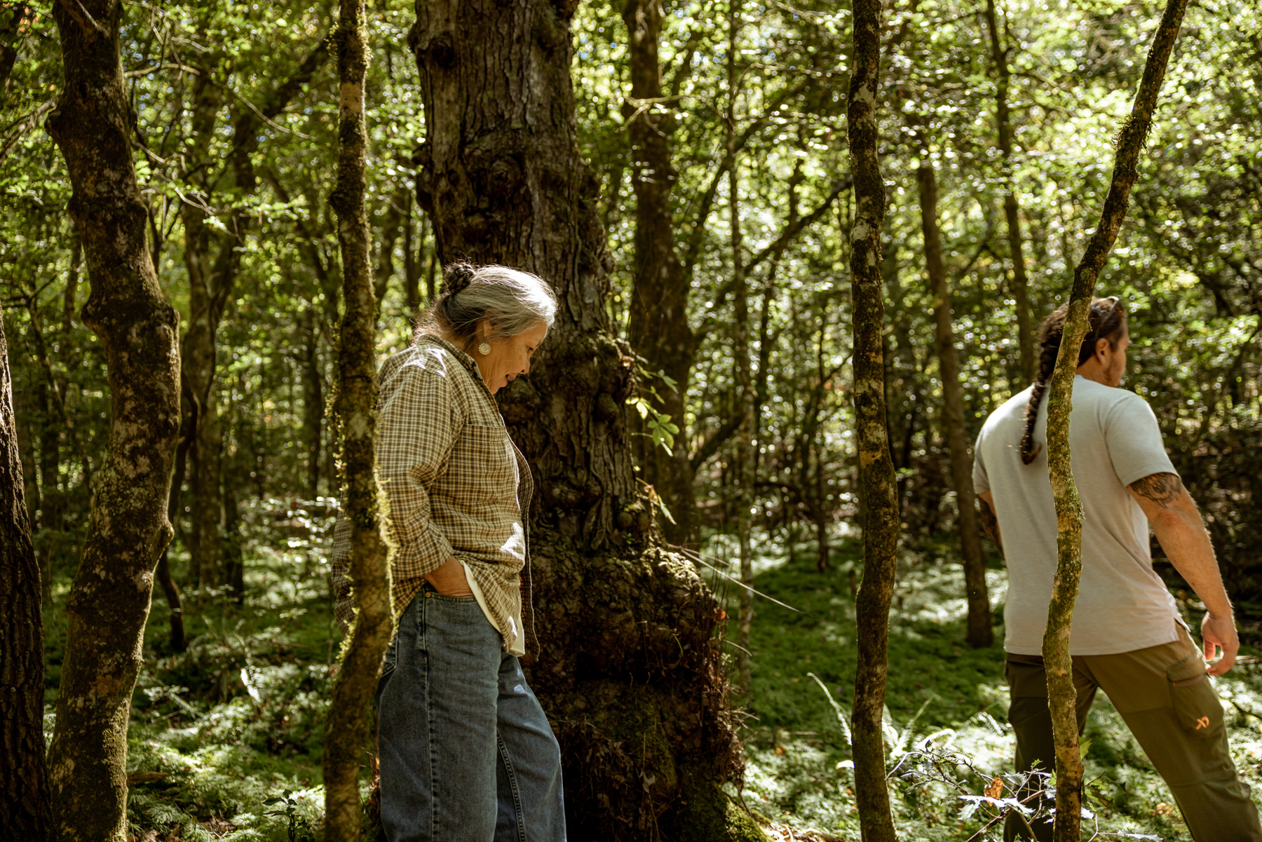 A walk in the A-do-hi (woods) with Mary and Tommy- EBCI forestry is working to make sustainable the white oak tree, rivercane, and hickory tree in the community forest by the Little Tennessee River.