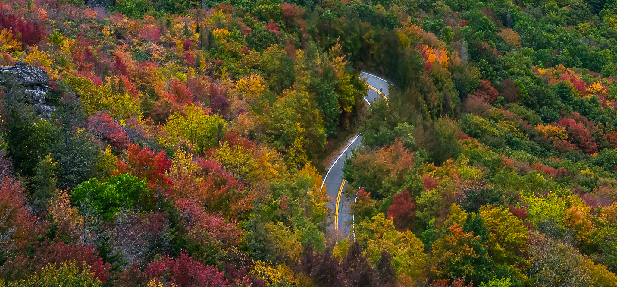 Pisgah National Forest, NC