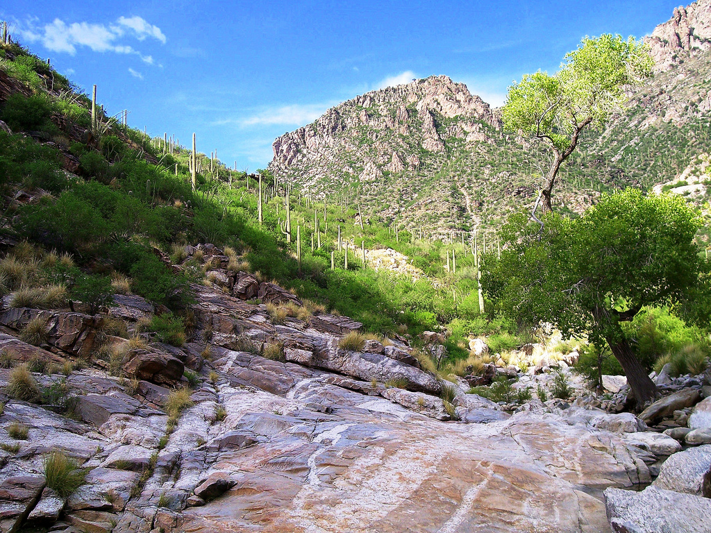 Coronado National Forest, AZ