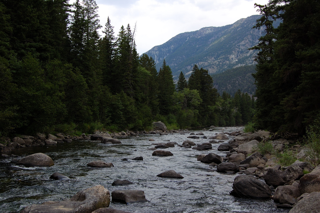 Gallatin National Forest