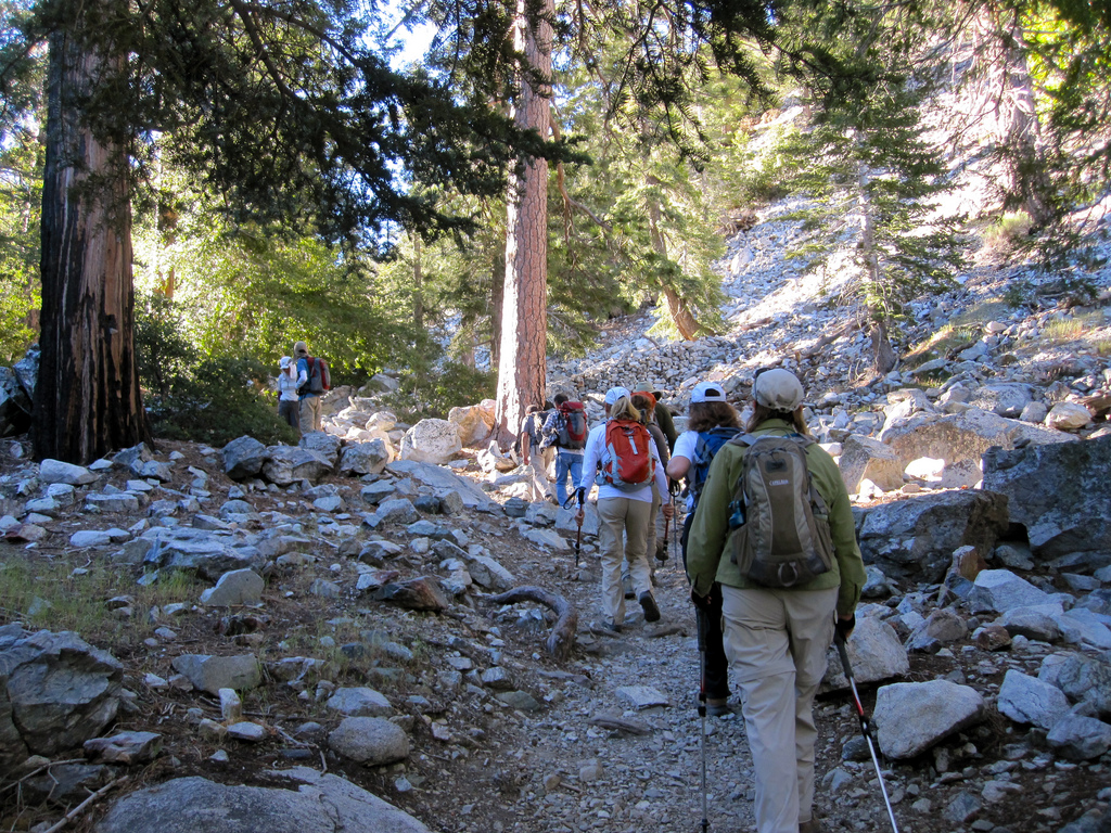 San Bernandino National Forest, CA