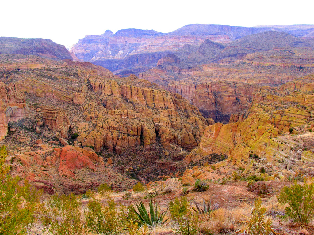 Tonto National Forest, AZ