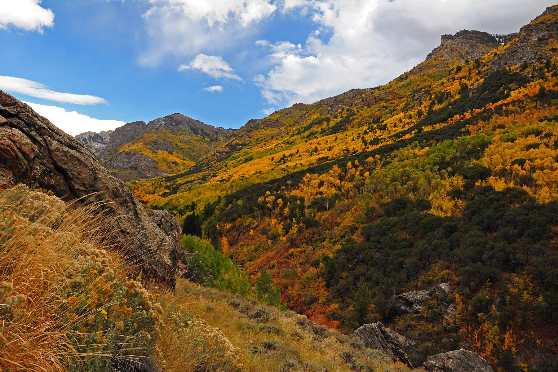 The Ruby Mountains, Nevada