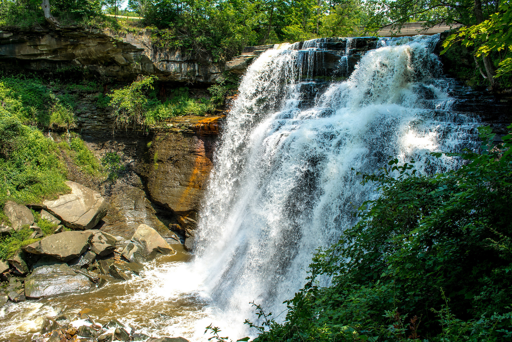 waterfall in a forest