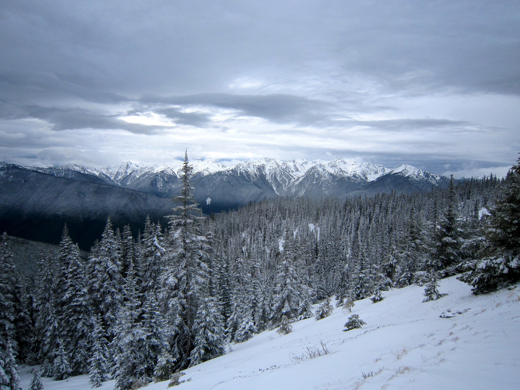 Olympic National Park, WA