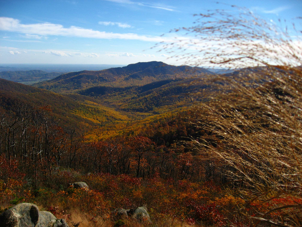 Shenandoah National Park, VA