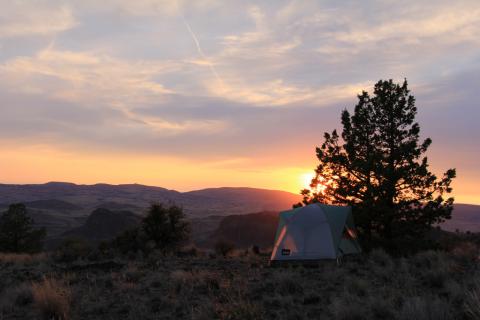 Spring Basin Wilderness