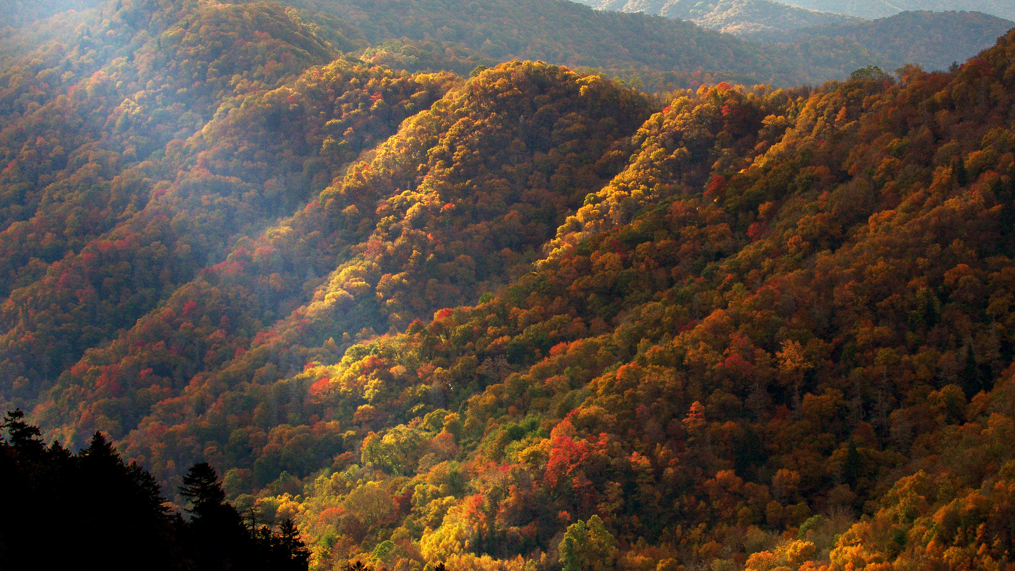 mountains with fall foliage