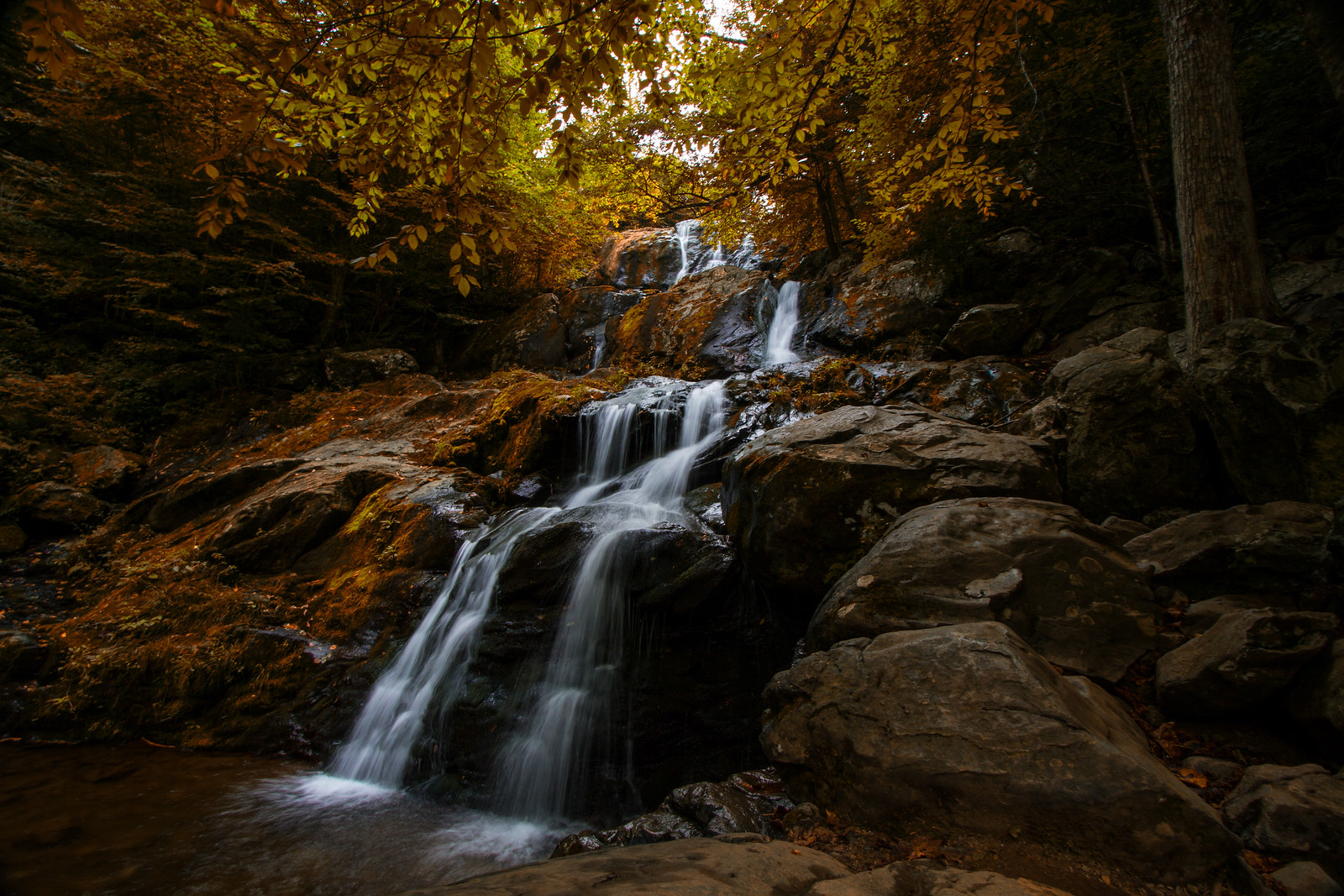 Shenandoah National Park, VA