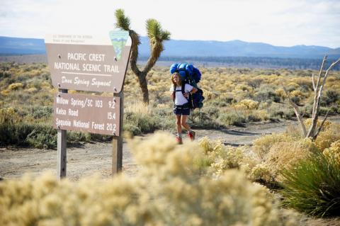 Reese Witherspoon as Cheryl Strayed