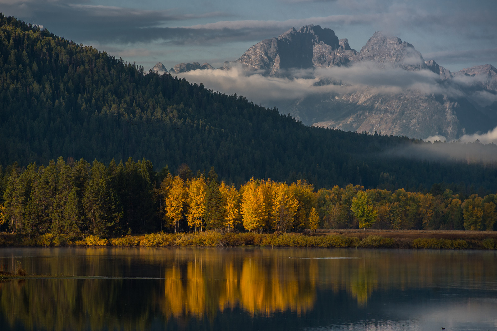 Grand Teton National Park, WY