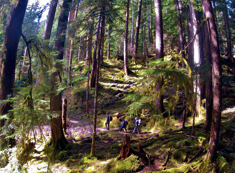 Olympic National Park, WA