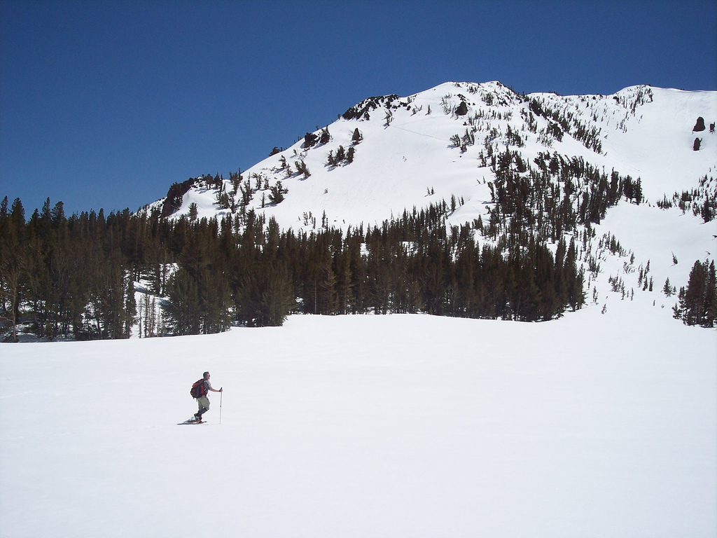 Mount Rose Wilderness, NV