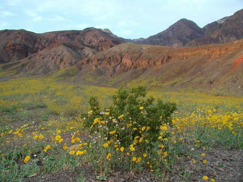 Death Valley