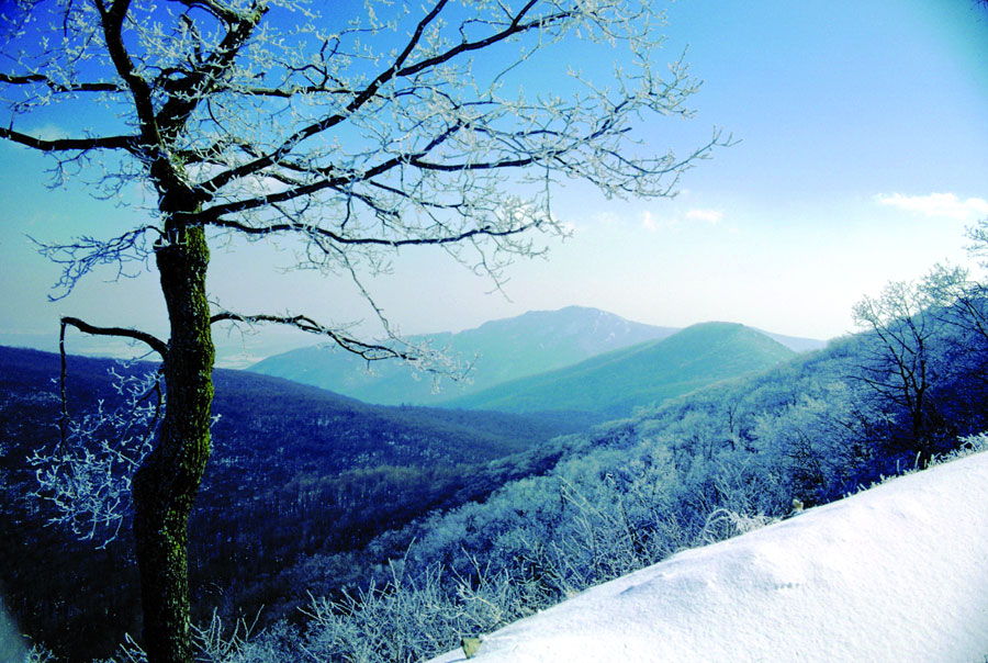 Winter in Shenandoah National Park, VA