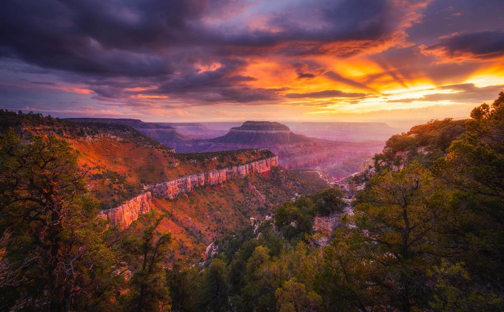 Grand Canyon from Kaibab National Forest, Arizona