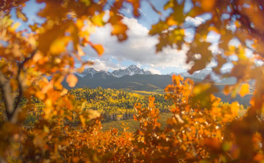 Mountain in Uncompahgre National Forest, Colorado.