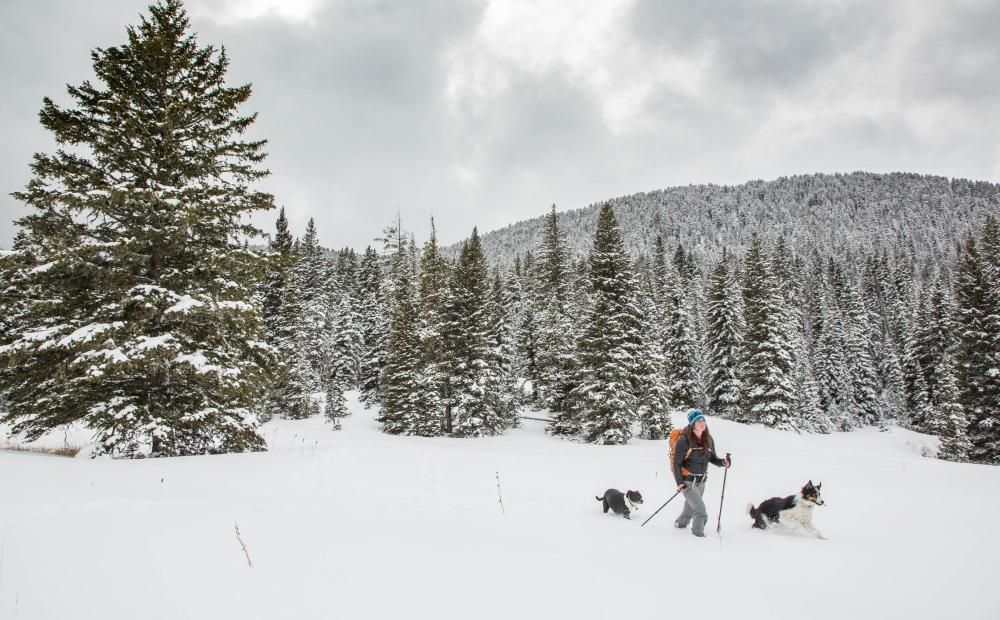 Gallatin National Forest, Montana