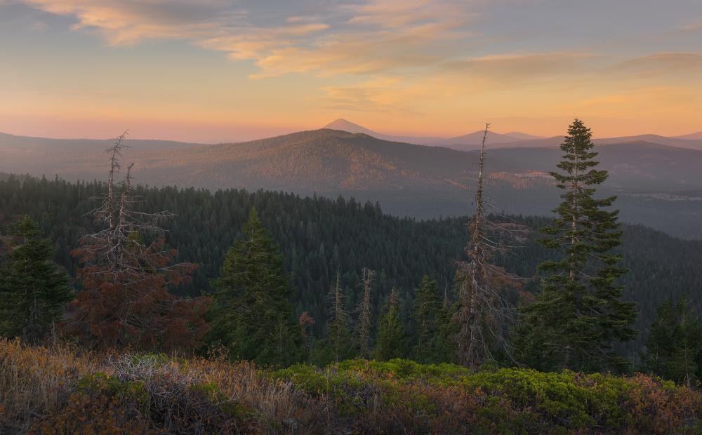 Cascade-Siskiyou National Monument, Oregon.