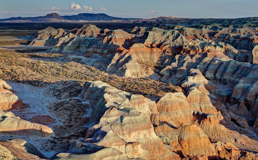 Northern Red Desert, Wyoming.