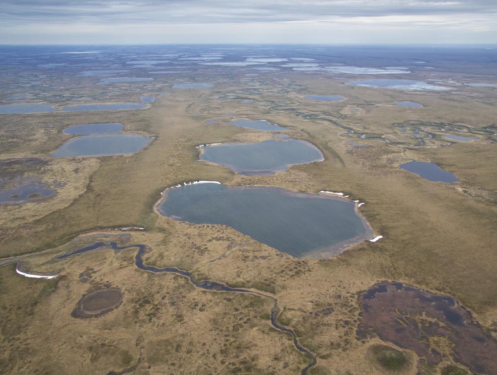 Alaska's Western Arctic