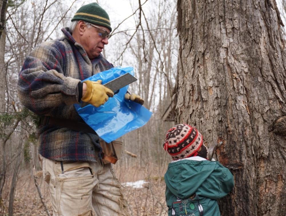 A man shows his grandchild, how to set the tap and bag for maple syrup. 