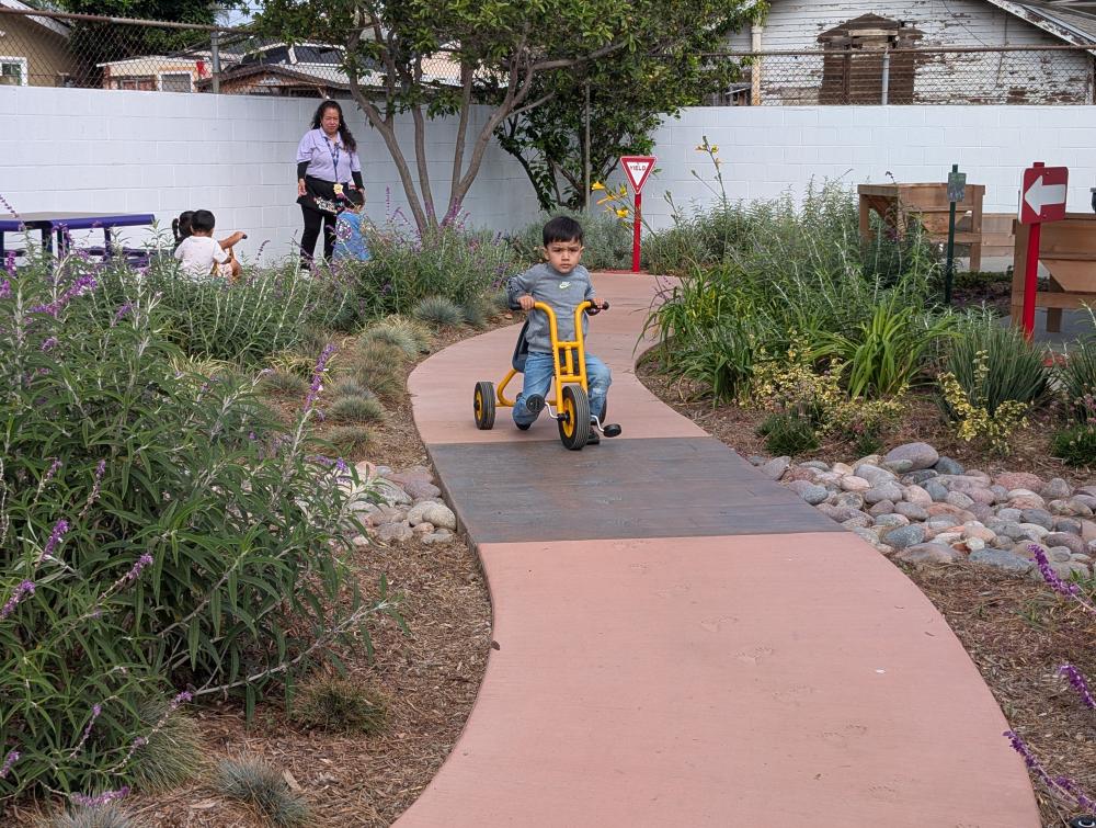 A student rides a tricycle down a path in a green schoolyard