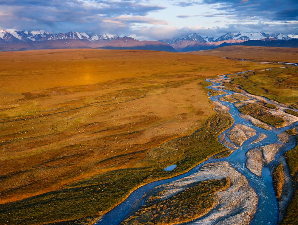 Coastal plain of the Arctic Refuge