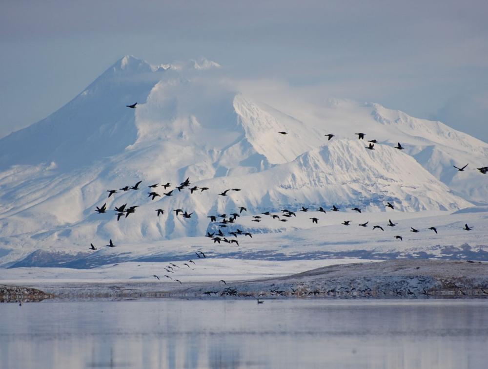 Izembek National Wildlife Refuge, AK