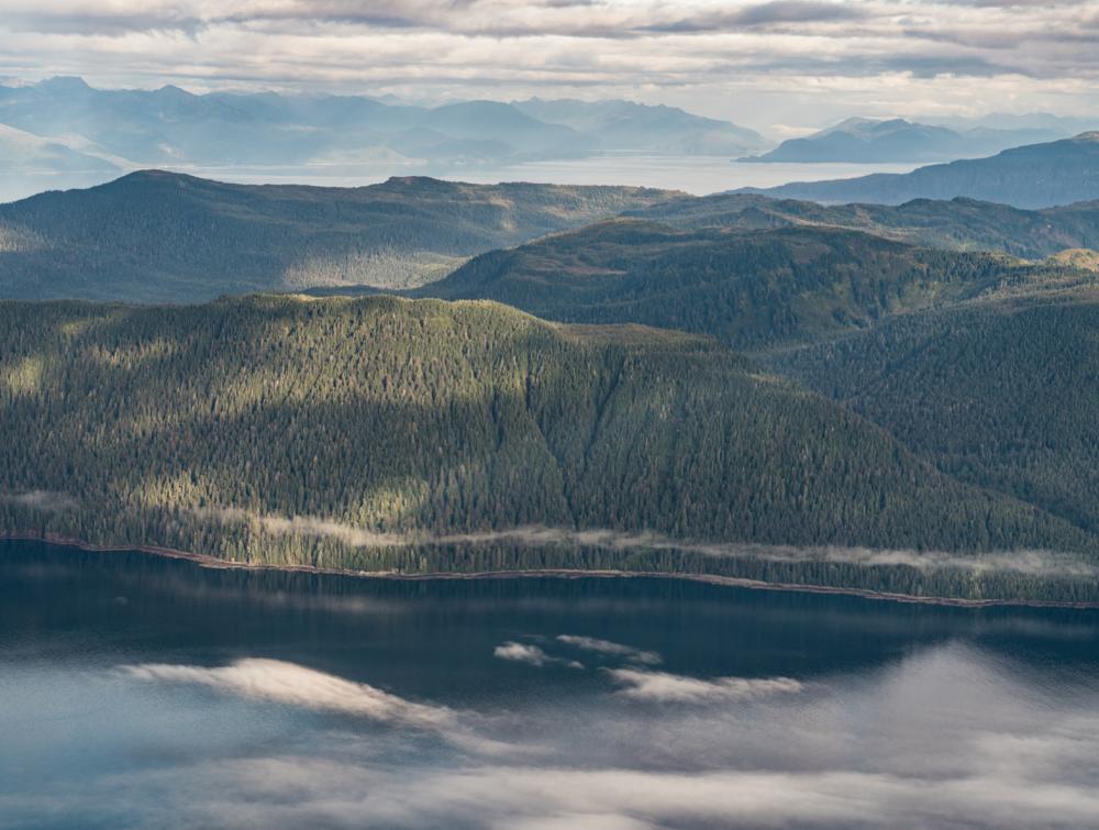 Aerial view of coastline abutted by heavy tree growth. More water and other land masses visible in distance, all beneath cloudy sky 