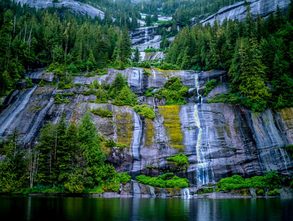 Tongass National Forest, Alaska.