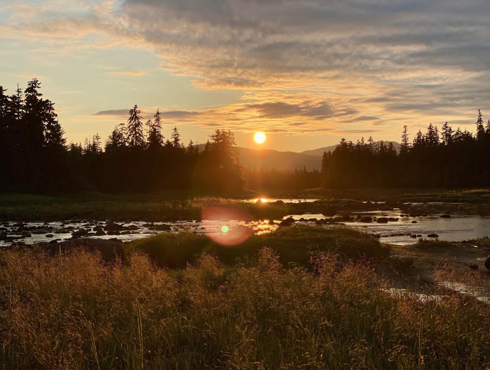 Sun dips toward horizon amid pinkish clouds with forest and freshwater visible